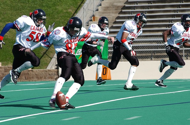 期表现也提 期表现也提