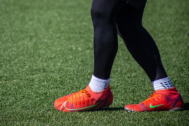 以其出众的 以其出众的