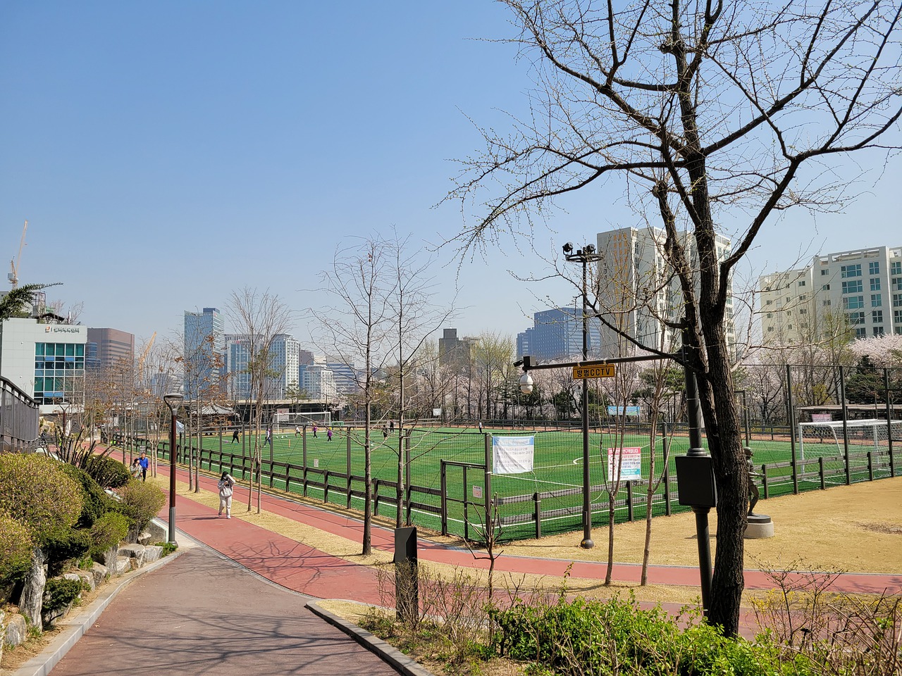 这一年度的 这一年度的