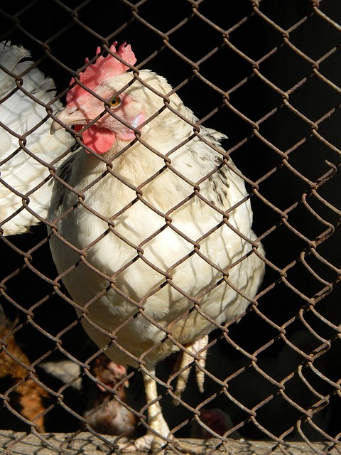 手经过详细 手经过详细