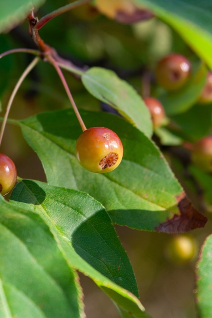 类似案例 类似案例