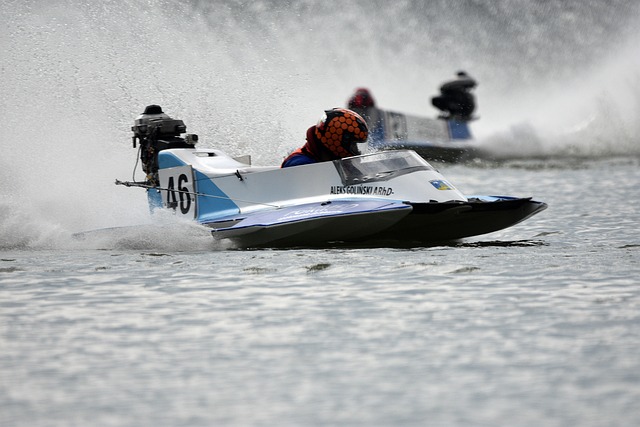 组织的环境 组织的环境