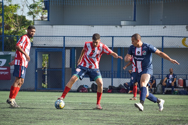 续书写属于 续书写属于