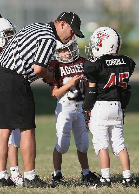 铺平了道路 铺平了道路