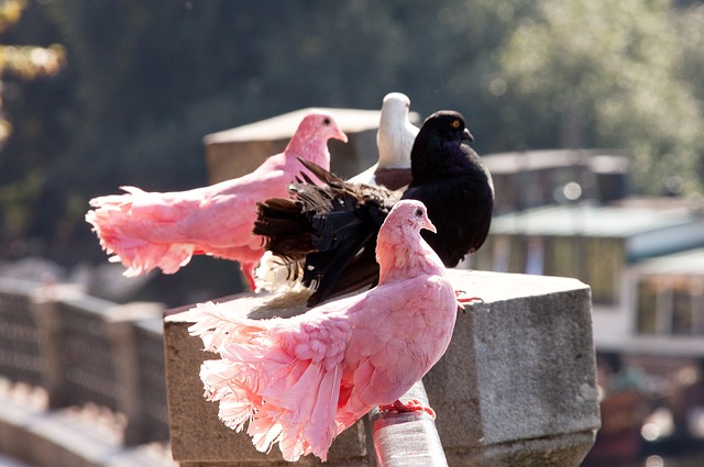 住对方防线 住对方防线