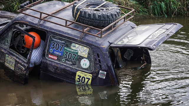 强大自信 强大自信