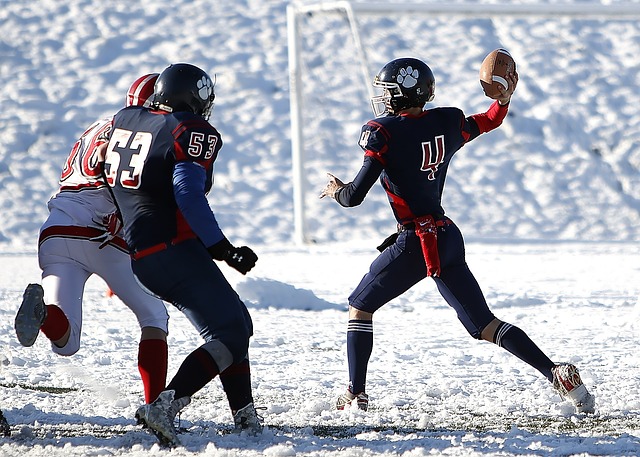涯的新高峰 涯的新高峰