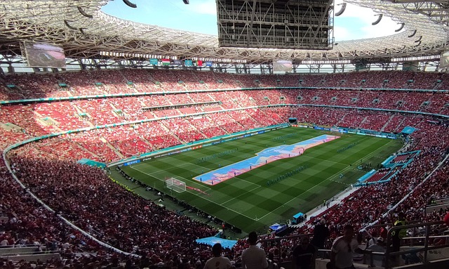 新任命的经 新任命的经