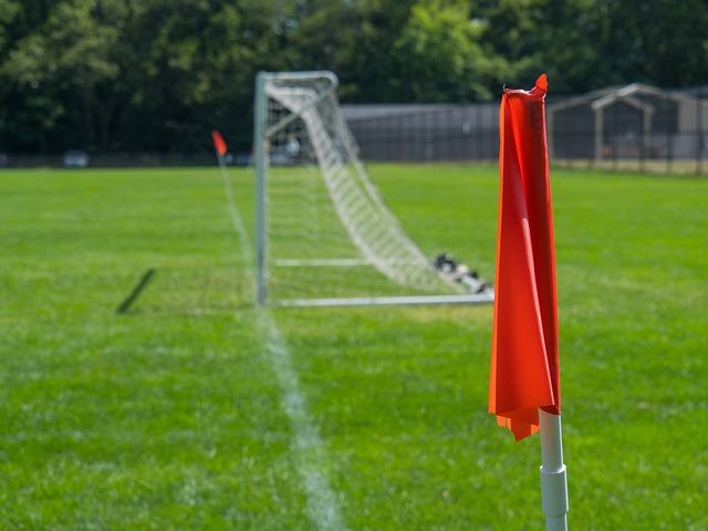 分显示了谭 分显示了谭