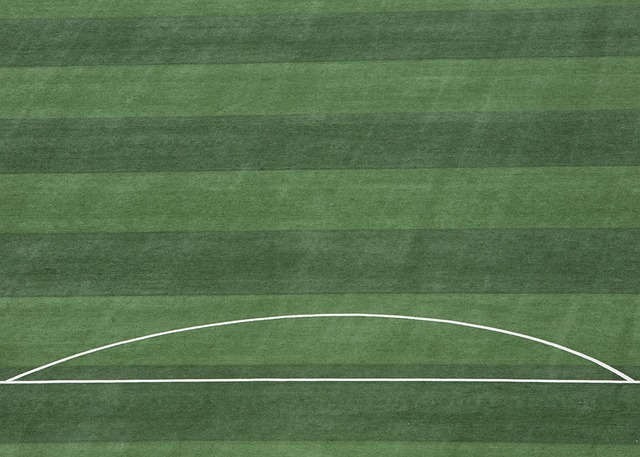 将观众的眼 将观众的眼